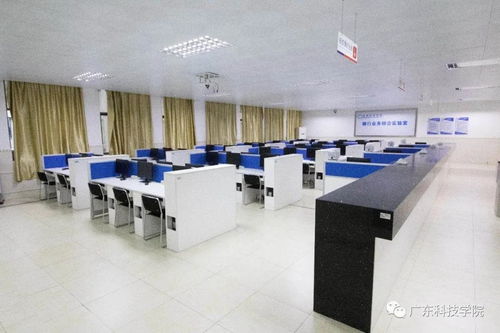 廣東科技學院41個本科專業巡禮 科技中介服務專業深度解析